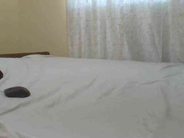 Shantell webcam