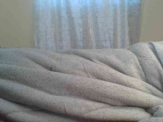 Shantell webcam