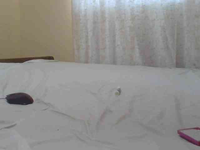 Shantell webcam