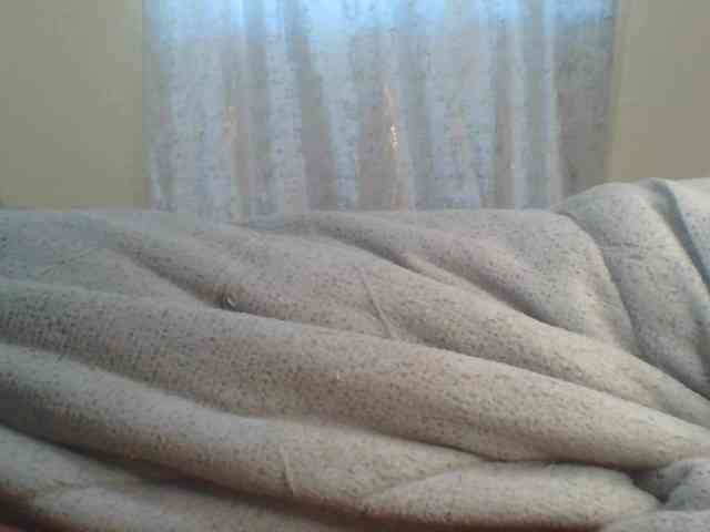 Shantell webcam