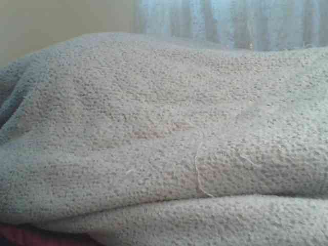 Shantell