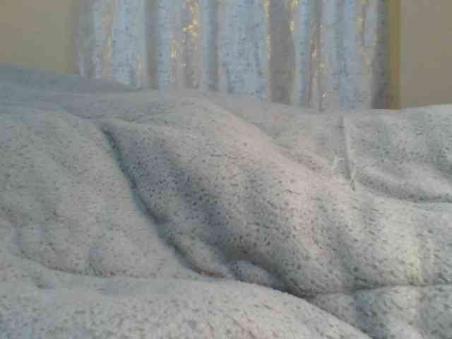 Shantell webcam