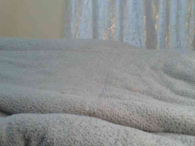 Shantell webcam
