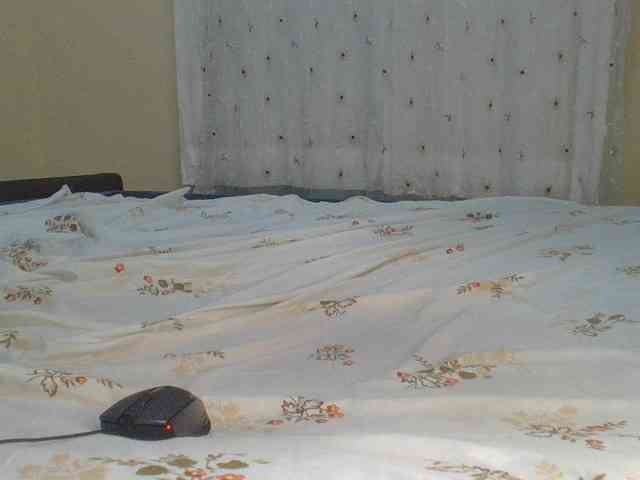 Shantell webcam
