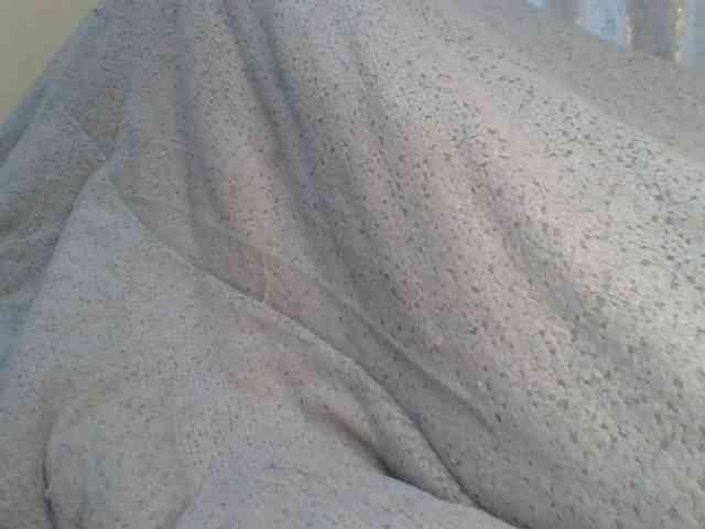 Shantell webcam