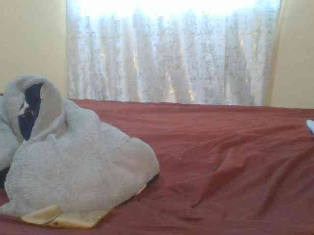 Shantell webcam