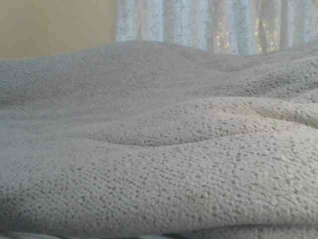 Shantell webcam