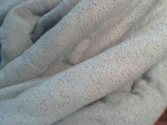 Shantell webcam