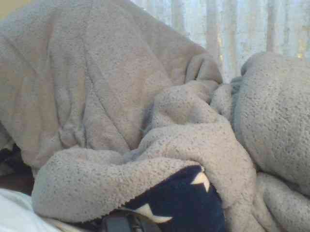 Shantell webcam