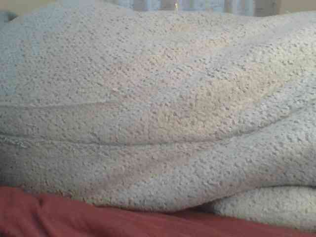 Shantell webcam