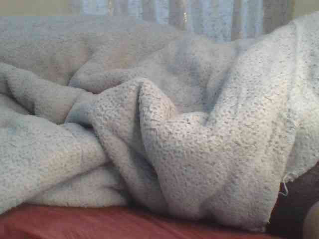 Shantell webcam