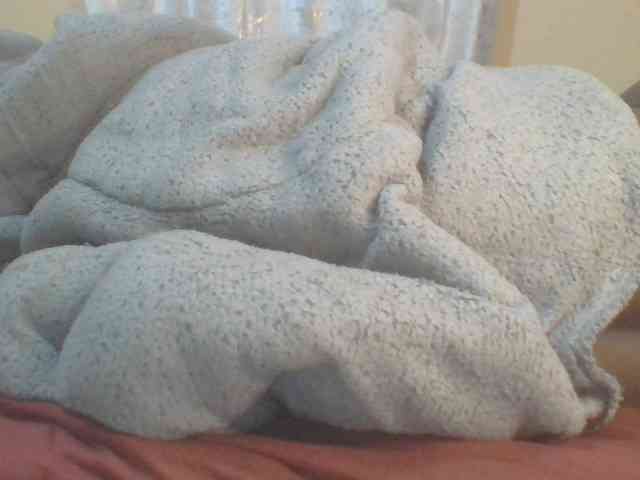 Shantell webcam