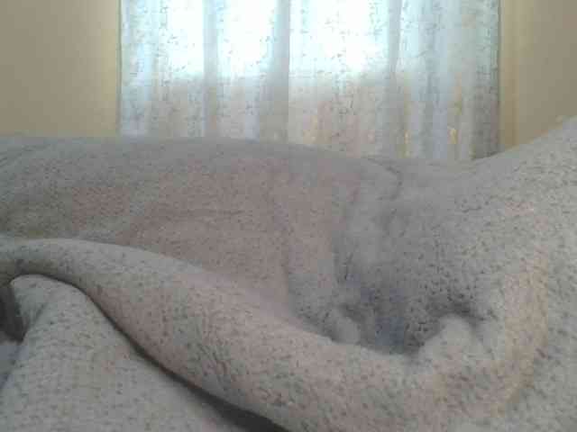 Shantell webcam