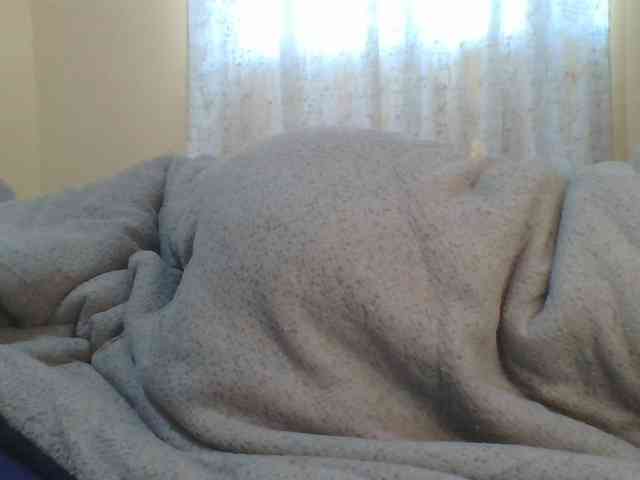 Shantell webcam