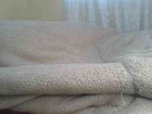 Shantell webcam
