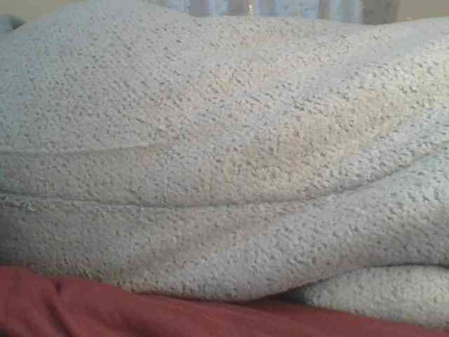 Shantell webcam