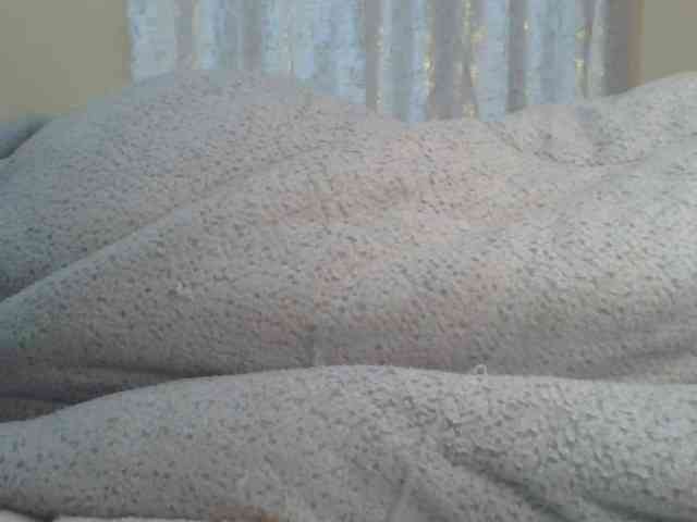 Shantell webcam