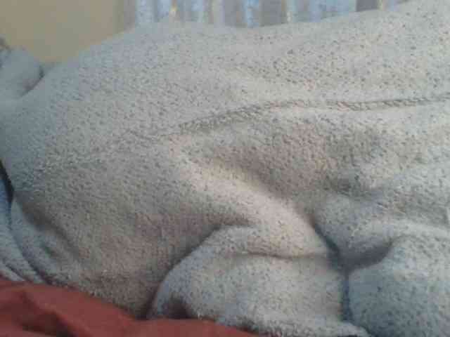 Shantell webcam