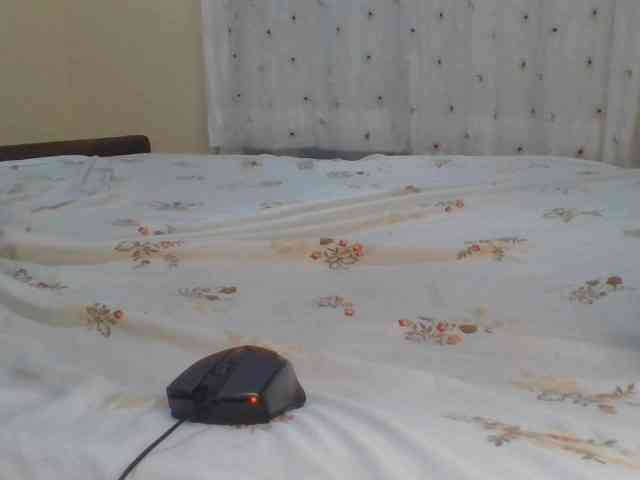 Shantell webcam