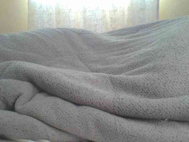 Shantell webcam