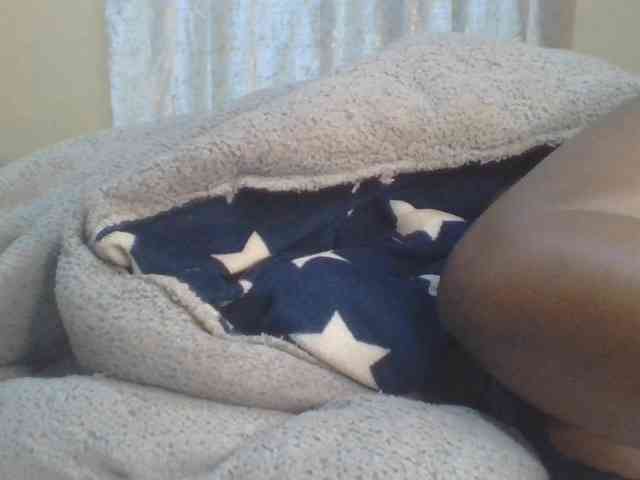 Shantell webcam