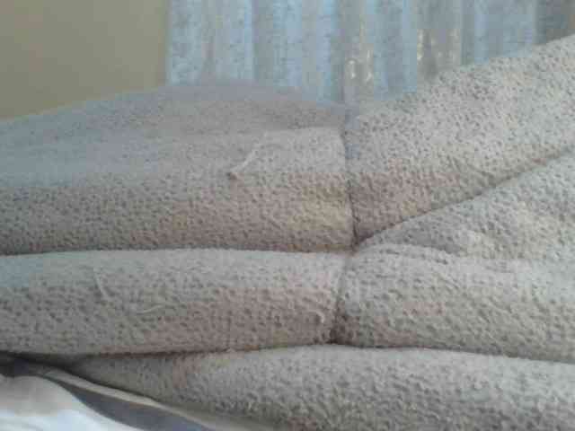 Shantell webcam