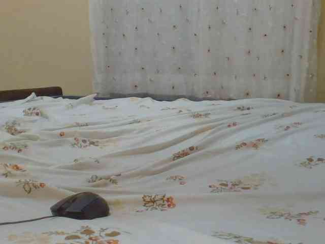Shantell webcam