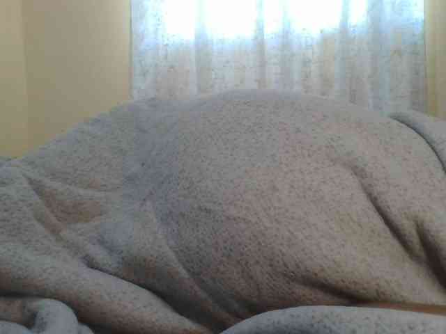Shantell webcam