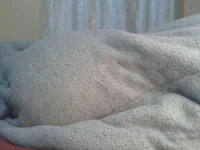 Shantell webcam