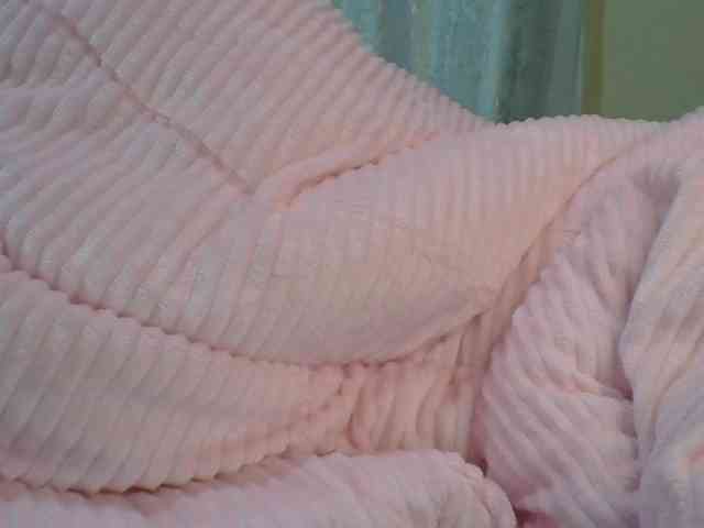 Shantell webcam