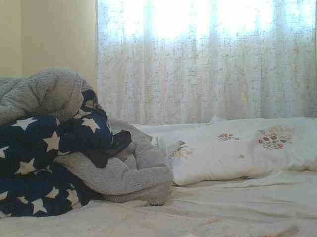 Shantell webcam