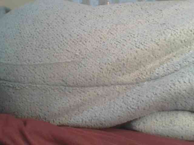Shantell webcam