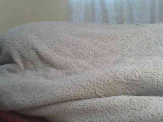 Shantell webcam