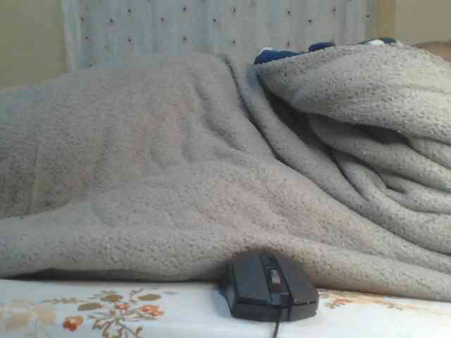Shantell webcam