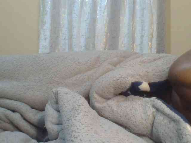 Shantell webcam