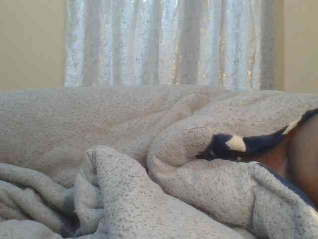 Shantell webcam