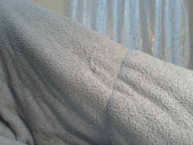 Shantell webcam
