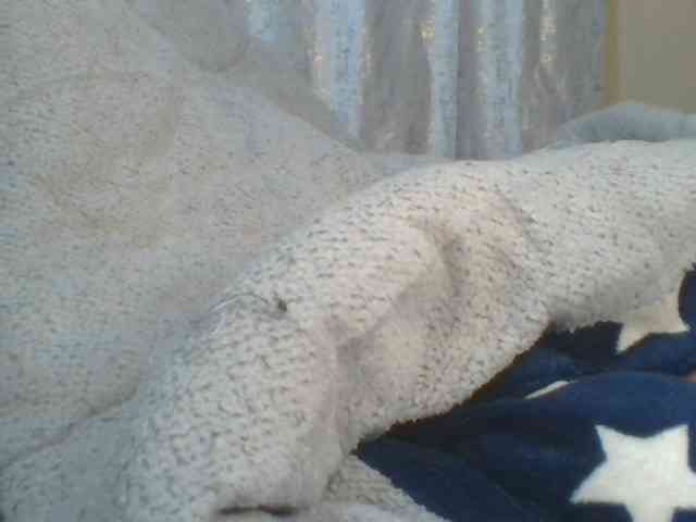 Shantell