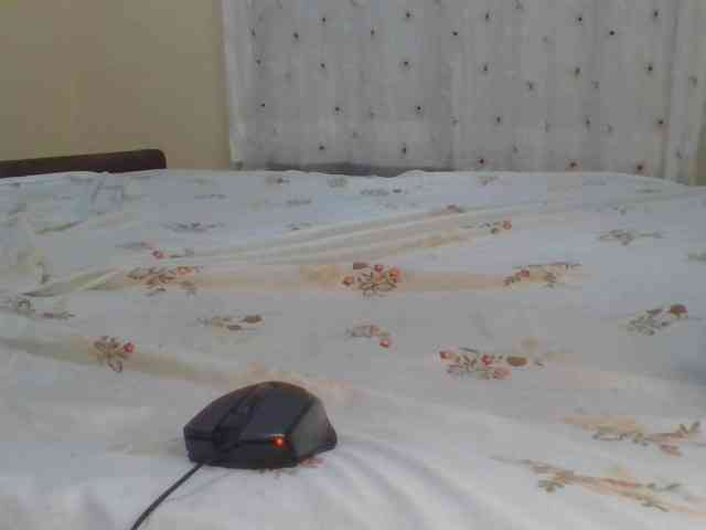 Shantell webcam