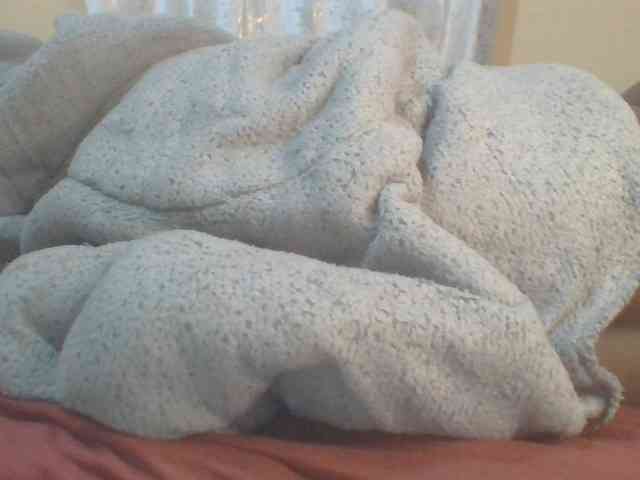 Shantell webcam