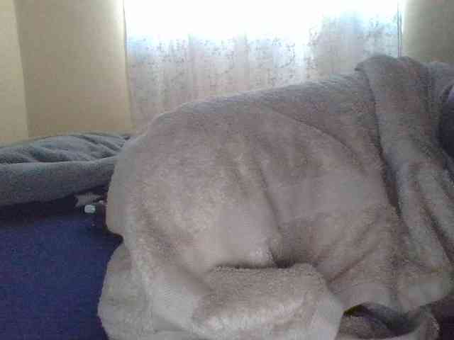Shantell webcam