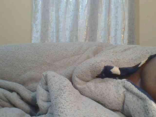 Shantell webcam