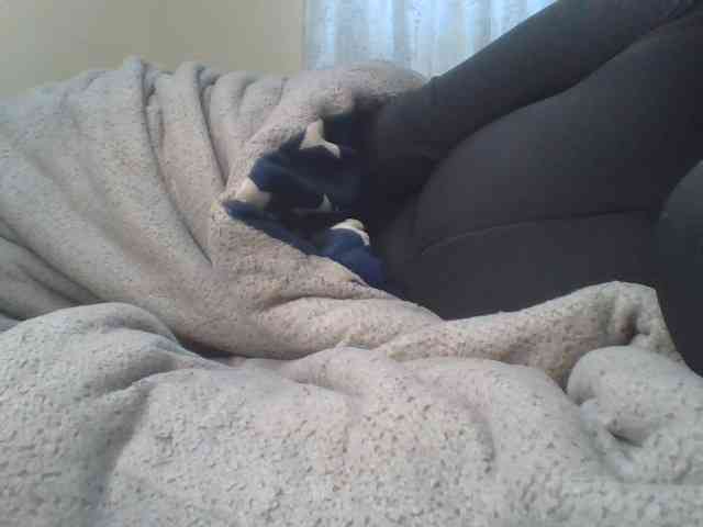Shantell webcam