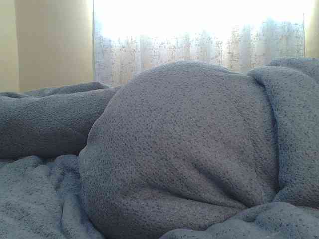 Shantell webcam