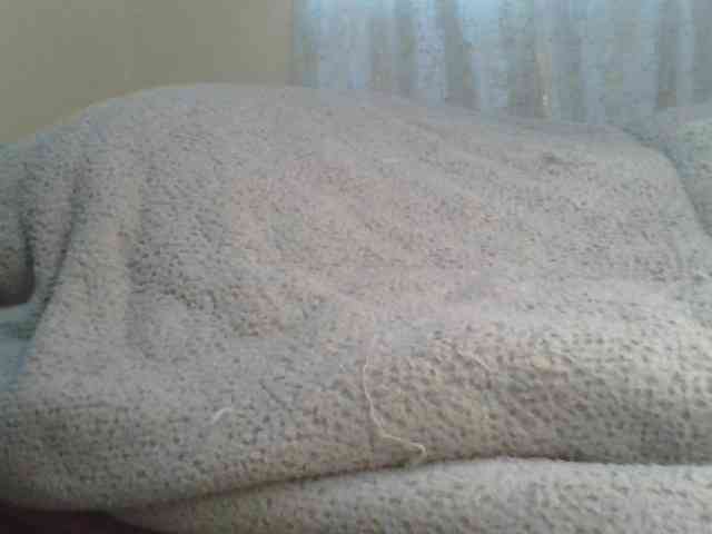 Shantell webcam
