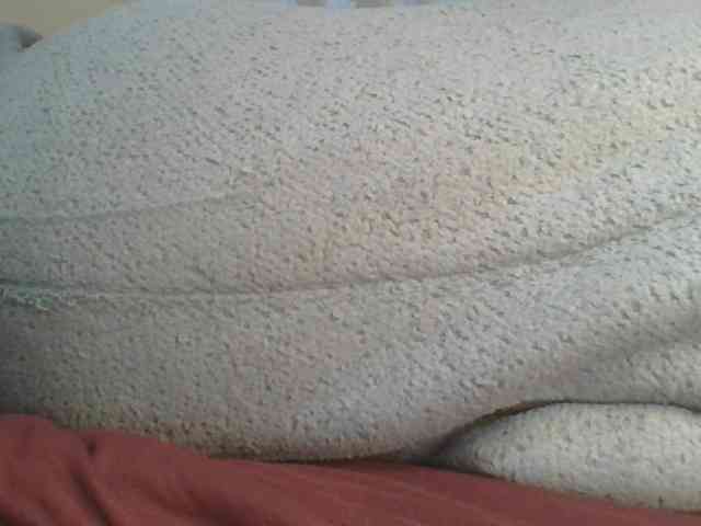 Shantell webcam