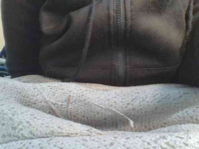 Shantell webcam