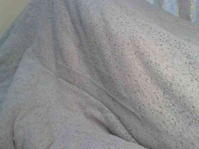 Shantell webcam