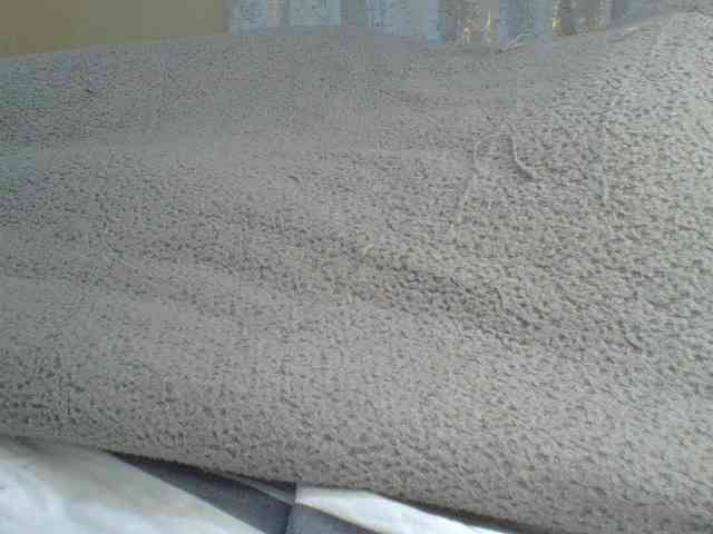Shantell webcam