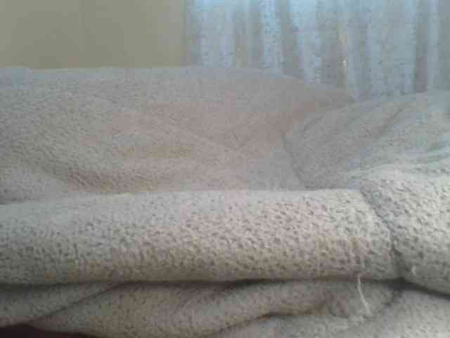 Shantell webcam